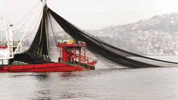 Hamsi yasağı uzatılsın