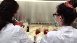 Zürih Üniversitesi ve Airbus, Uluslararası Uzay İstasyonu’nda minyatür insan dokusu üretiyor