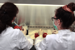 Zürih Üniversitesi ve Airbus, Uluslararası Uzay İstasyonu’nda minyatür insan dokusu üretiyor