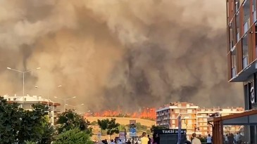 Çanakkale’de orman yangını