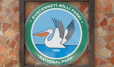 Kuş Cenneti Milli Parkı’ndaki taksidermiler nereye gitti?