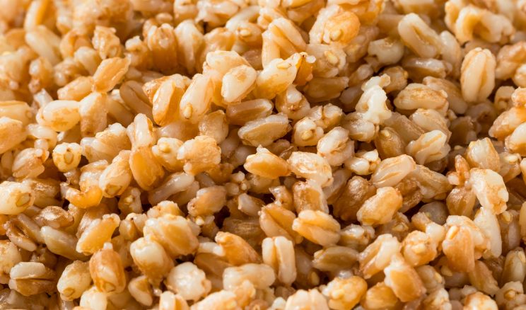 Medeniyete yön veren en eski tahıl: Ferro